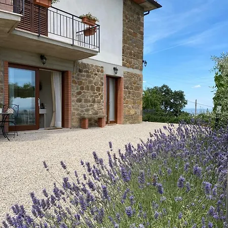 Podere Belsogno-camera Rosmarino Maison d'hôtes