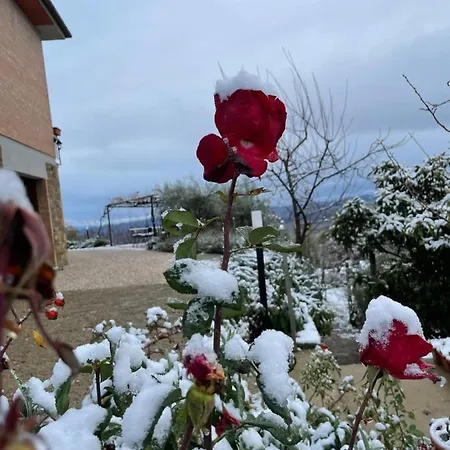 Maison d'hôtes Podere Belsogno-camera Rosmarino Montalcino